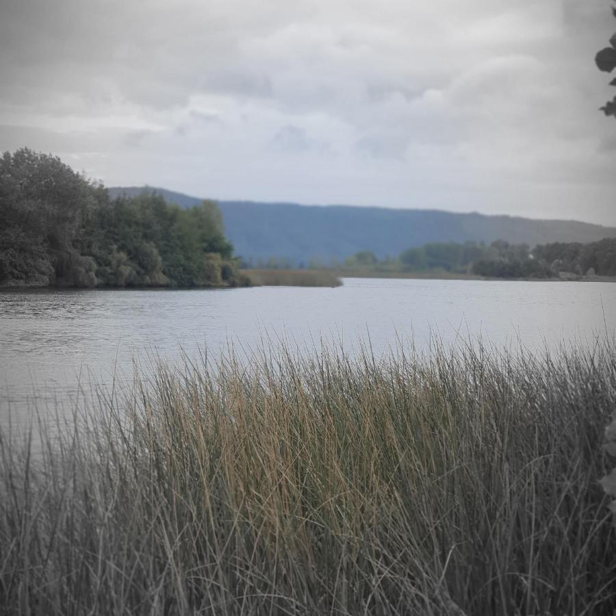 Cabanas Rosner Valdivia Zewnętrze zdjęcie